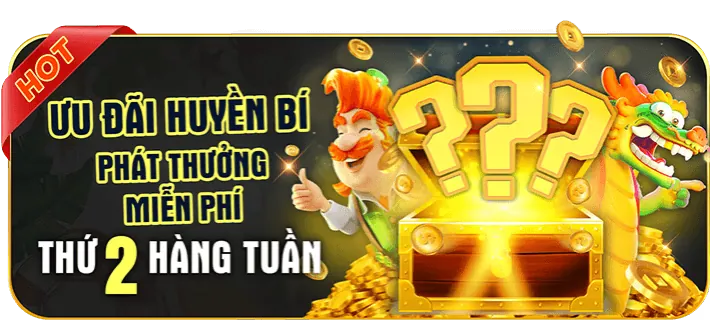 Hướng dẫn cho người chơi mới