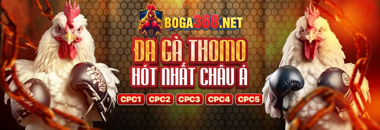 Các đặc quyền độc quyền dành cho thành viên VIP lulu88 nhà cái