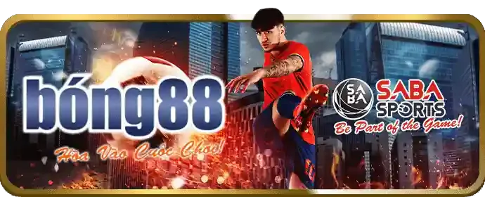 Mẹo an toàn cá cược lulu88 nhà cái